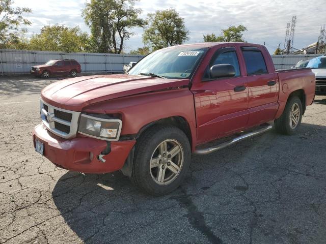 2010 Dodge Dakota 