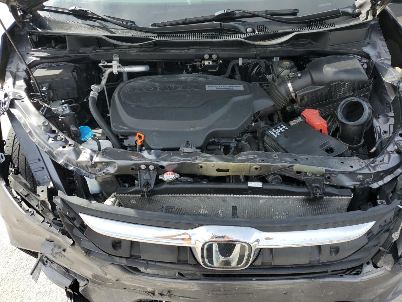 VIN: 5FNRL6H76KB090052 2019 HONDA All Models