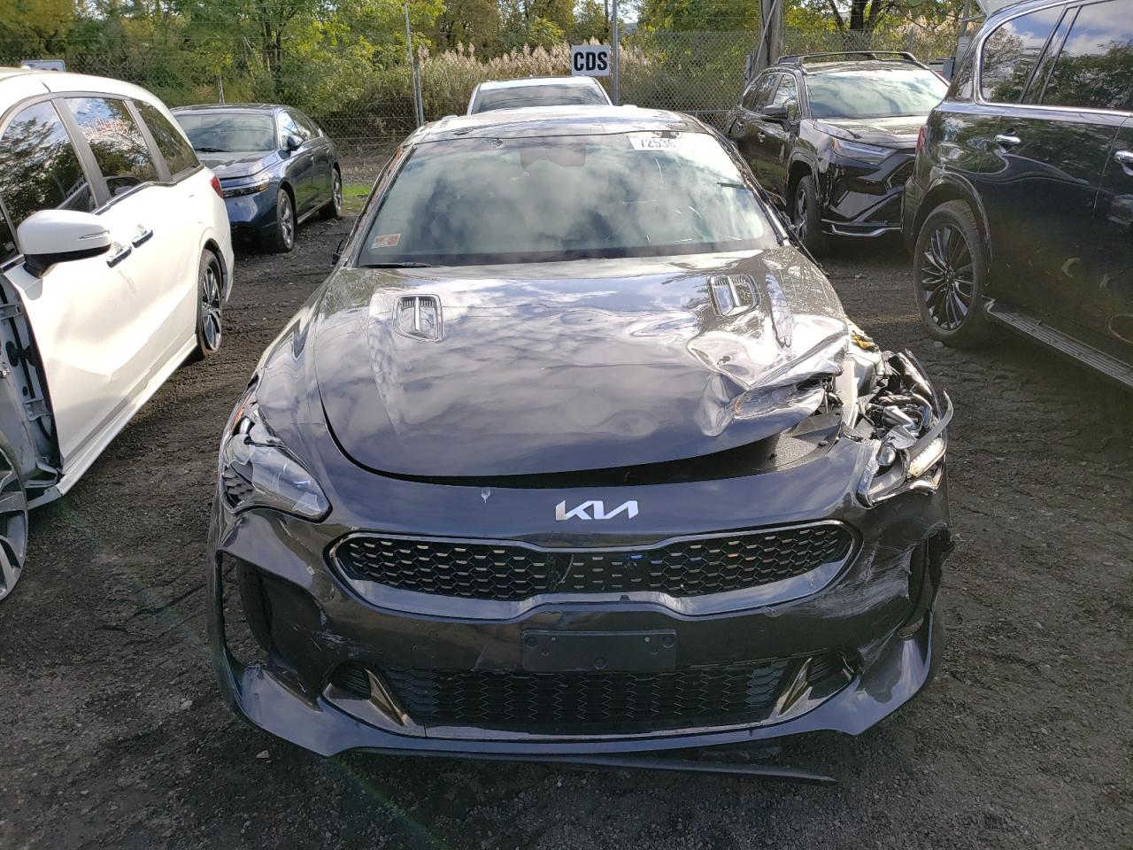 KNAE55LC7P6126063 2023 Kia Stinger Gt2