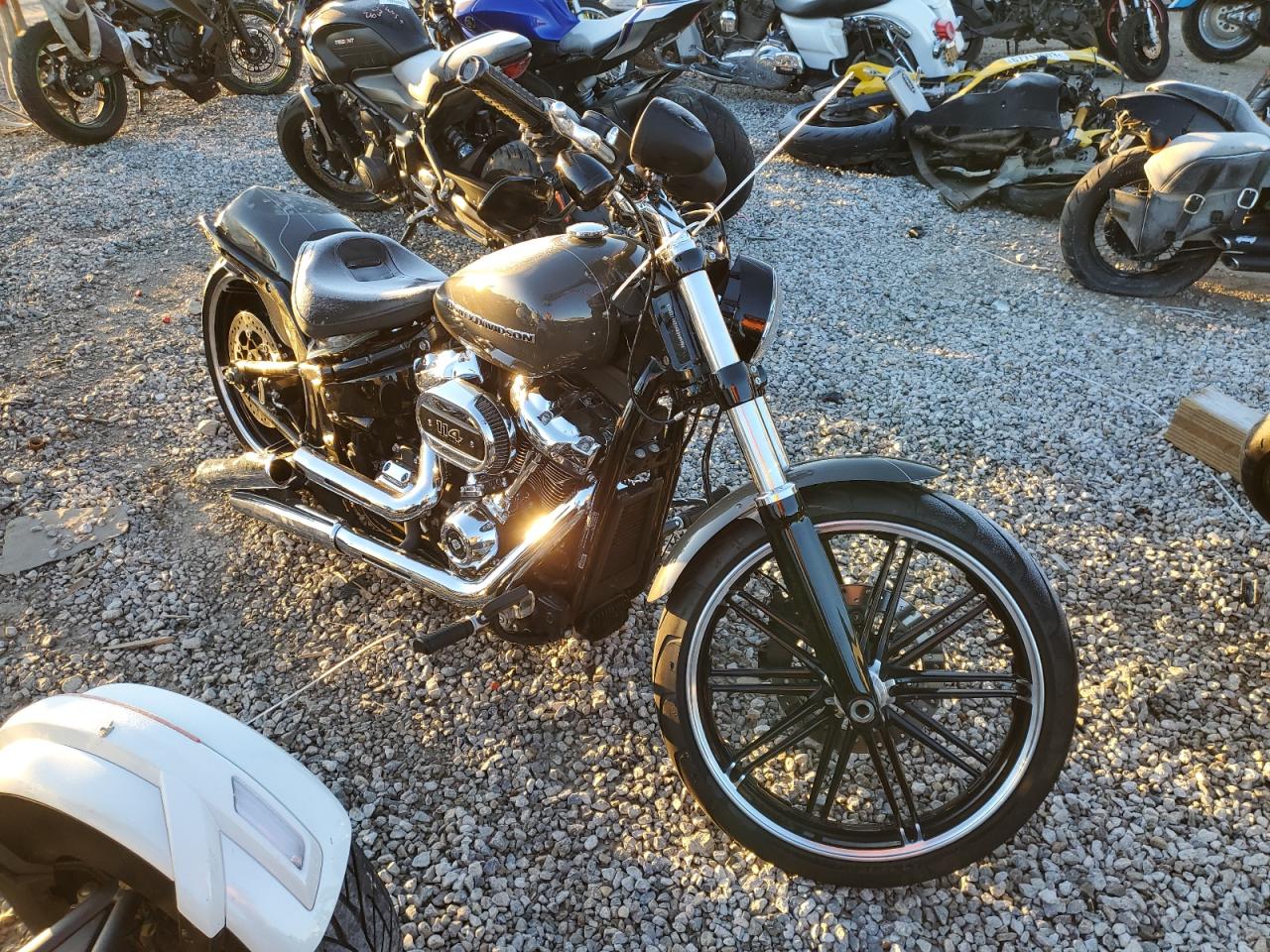 1HD1YHK20KB043995 HARLEY-DAVIDSON FXBRS 2019