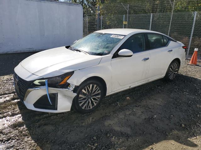 Vin: 1n4bl4dv6pn358560, lot: 73717153, nissan altima sv 20231