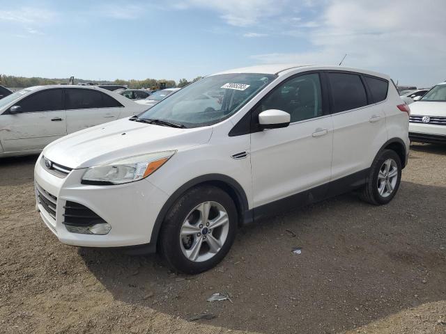 Vin: 1fmcu0gx8euc75664, lot: 73085283, ford escape se 2014 img_1