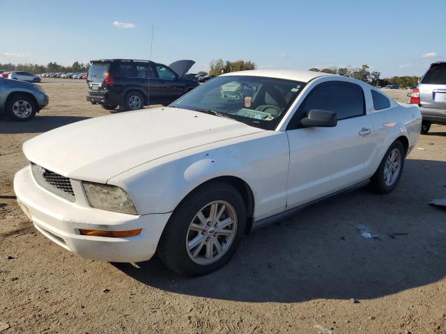 1ZVFT80N255179953 | 2005 Ford mustang