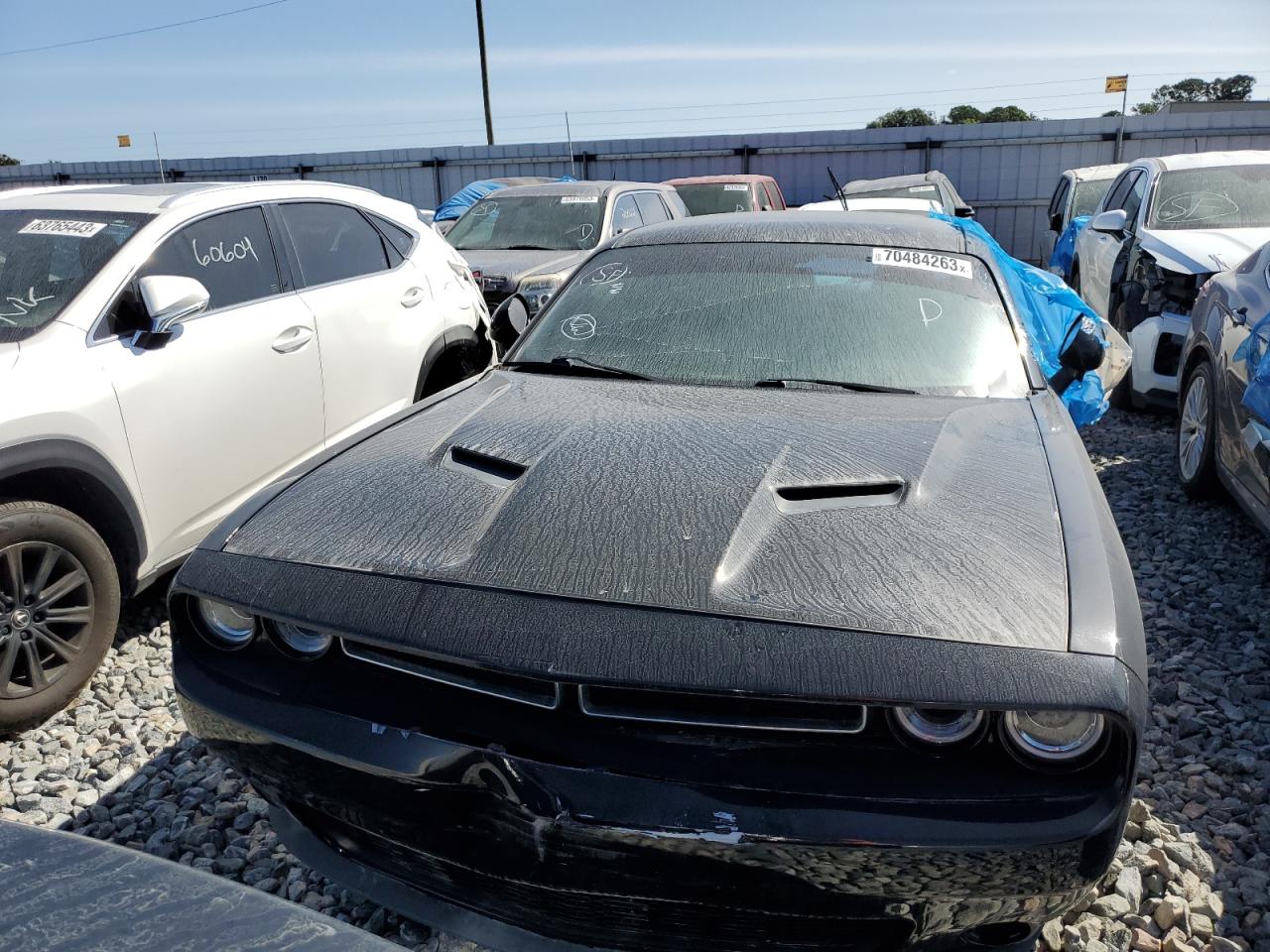 2019 Dodge Challenger Sxt vin: 2C3CDZGG3KH629781