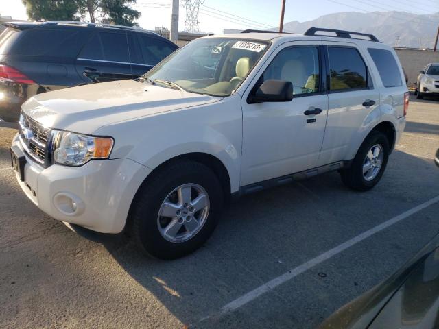 2009 Ford Escape XLT