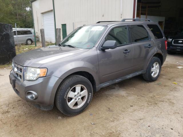 2010 Ford Escape XLT