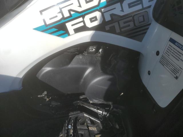 2023 KAWASAKI KVF750 G - JKAVFDG13PB523385