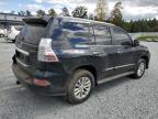 LEXUS GX 460 photo