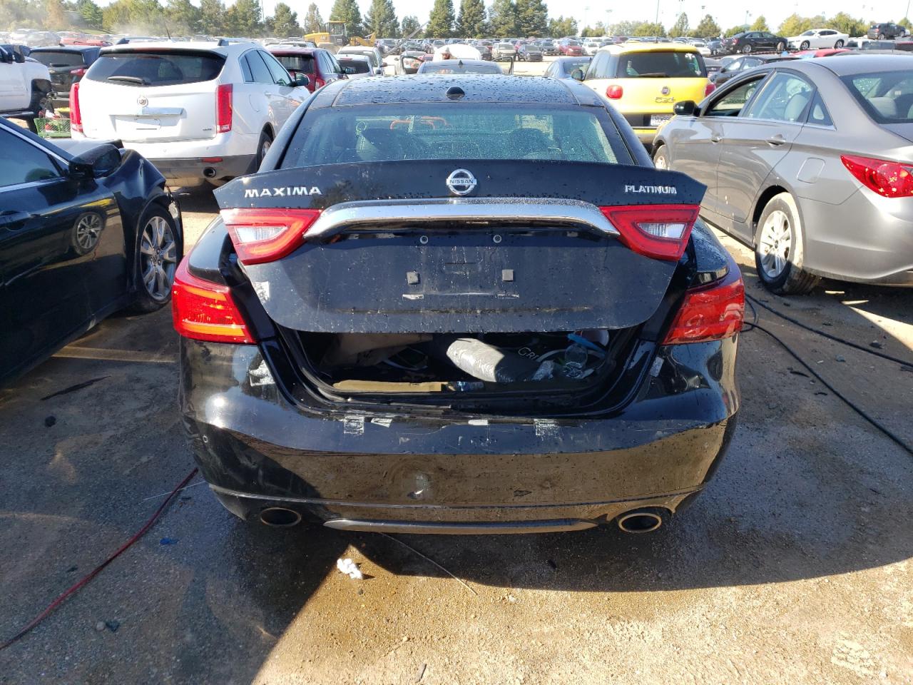 Lot #2876911648 2016 NISSAN MAXIMA 3.5