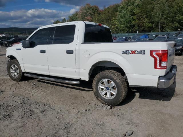 1FTEW1E84GFA15245 Ford F150 Supercrew