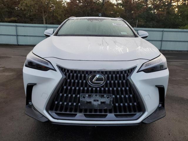 2024 LEXUS NX 350 BAS 2T2AGCEZ6RC034080