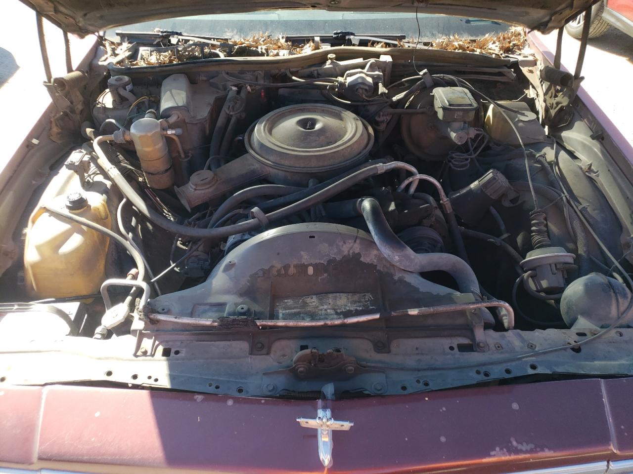 2g1an69h1e9260785 2G1AN69H1E9260785 1984 Chevrolet Caprice Classic