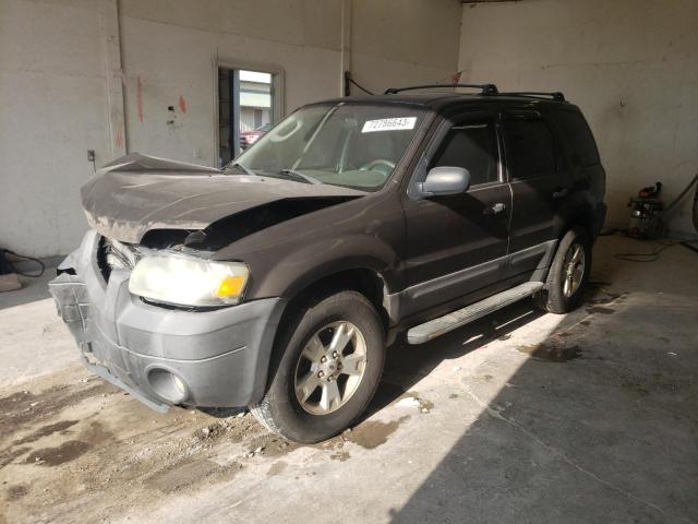 2007 Ford Escape XLT