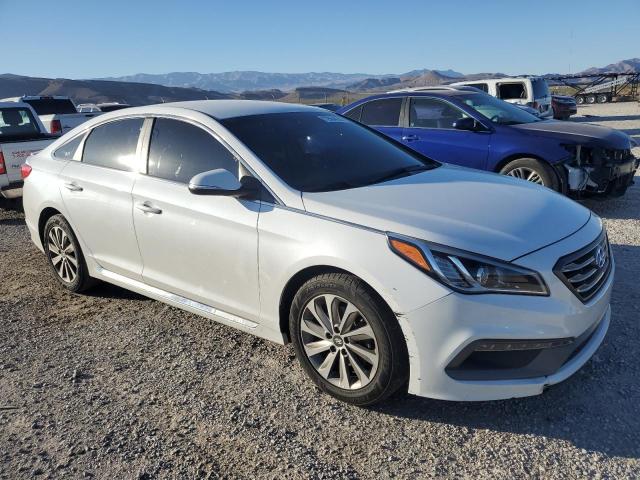 5NPE34AF8HH538936 | 2019 HYUNDAI SONATA SPO