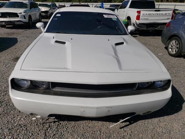 2013 Dodge Challenger R/T VIN: 2C3CDYBT0DH613412 Lot: 73802723