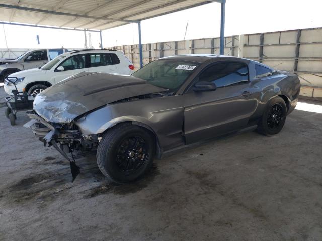 Lot #2359015858 2010 FORD MUSTANG salvage car