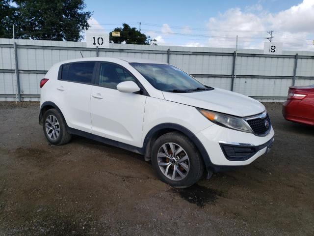 KNDPB3ACXE7589804 | 2014 KIA SPORTAGE B