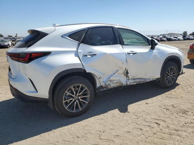 2024 LEXUS NX 250 BAS JTJADCAZ6R5013811