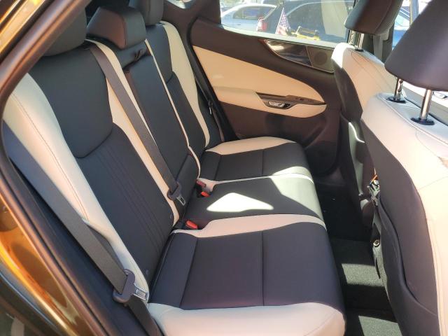 2024 LEXUS NX 350 BAS 2T2AGCEZXRC043803