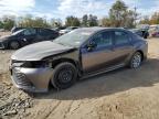2020 TOYOTA CAMRY LE - 4T1C11AK8LU929183