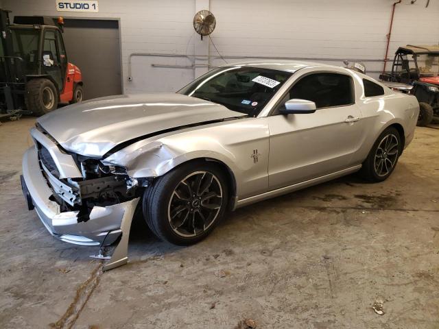Lot #2492163558 2014 FORD MUSTANG salvage car