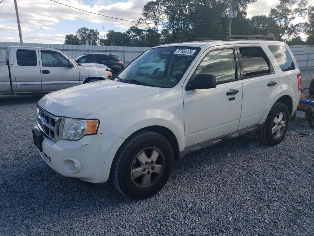 2009 Ford Escape XLT