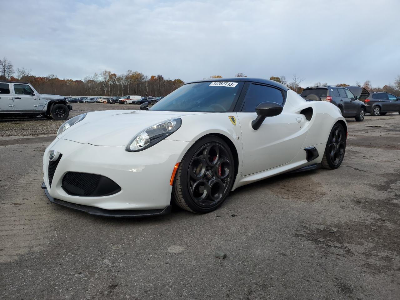 ZARBAAA47HM245045 2017 Alfa Romeo 4C