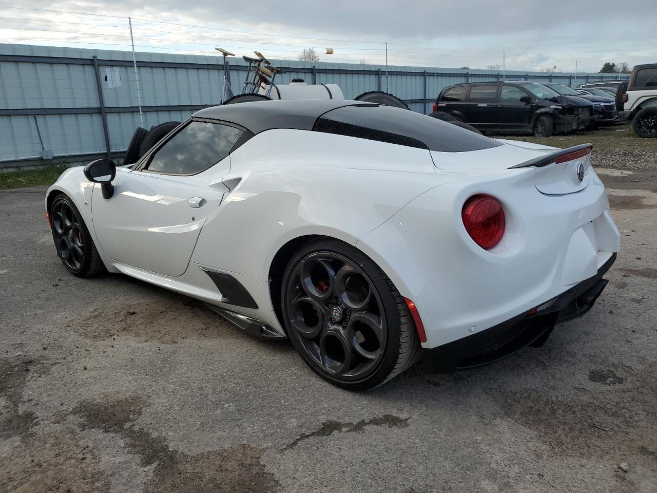 ZARBAAA47HM245045 2017 Alfa Romeo 4C