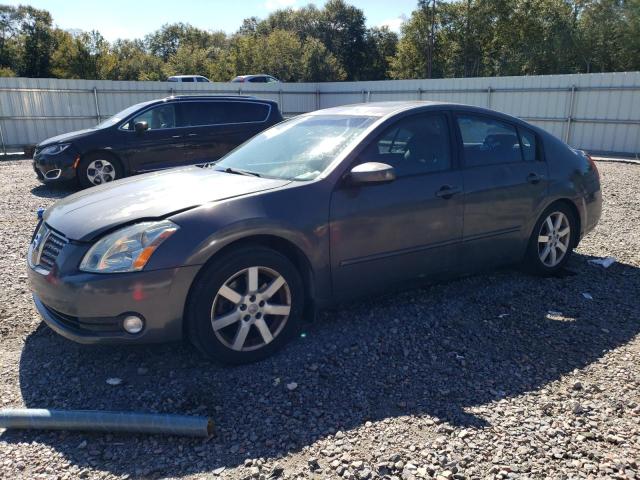 2004 Nissan Maxima SE