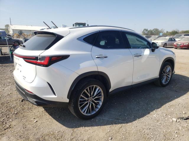 JTJGGCEZ2N5002083 Lexus NX 350  3