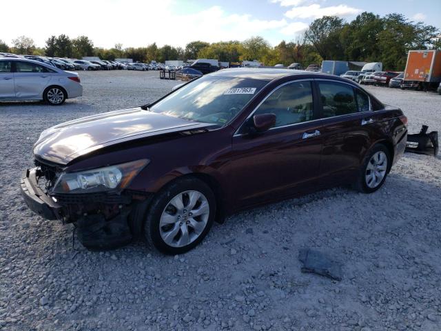 2008 Honda Accord Coupe EX-L