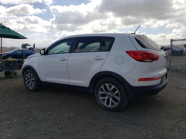 KNDPB3ACXE7589804 | 2014 KIA SPORTAGE B