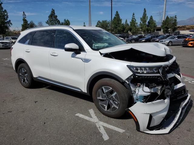  KIA SORENTO 2023 Білий