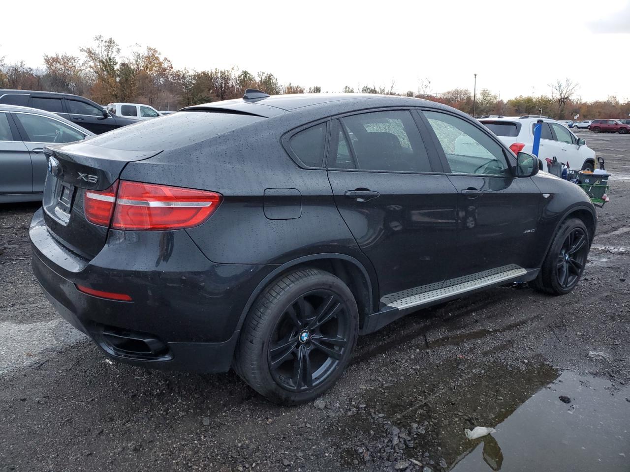 5UXFG8C53DL591987 2013 BMW X6 xDrive50I