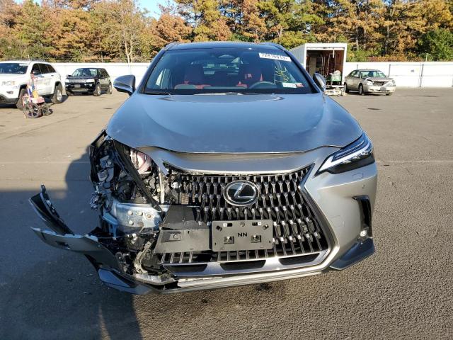 2024 LEXUS NX 350 LUX 2T2HGCEZ5RC040113