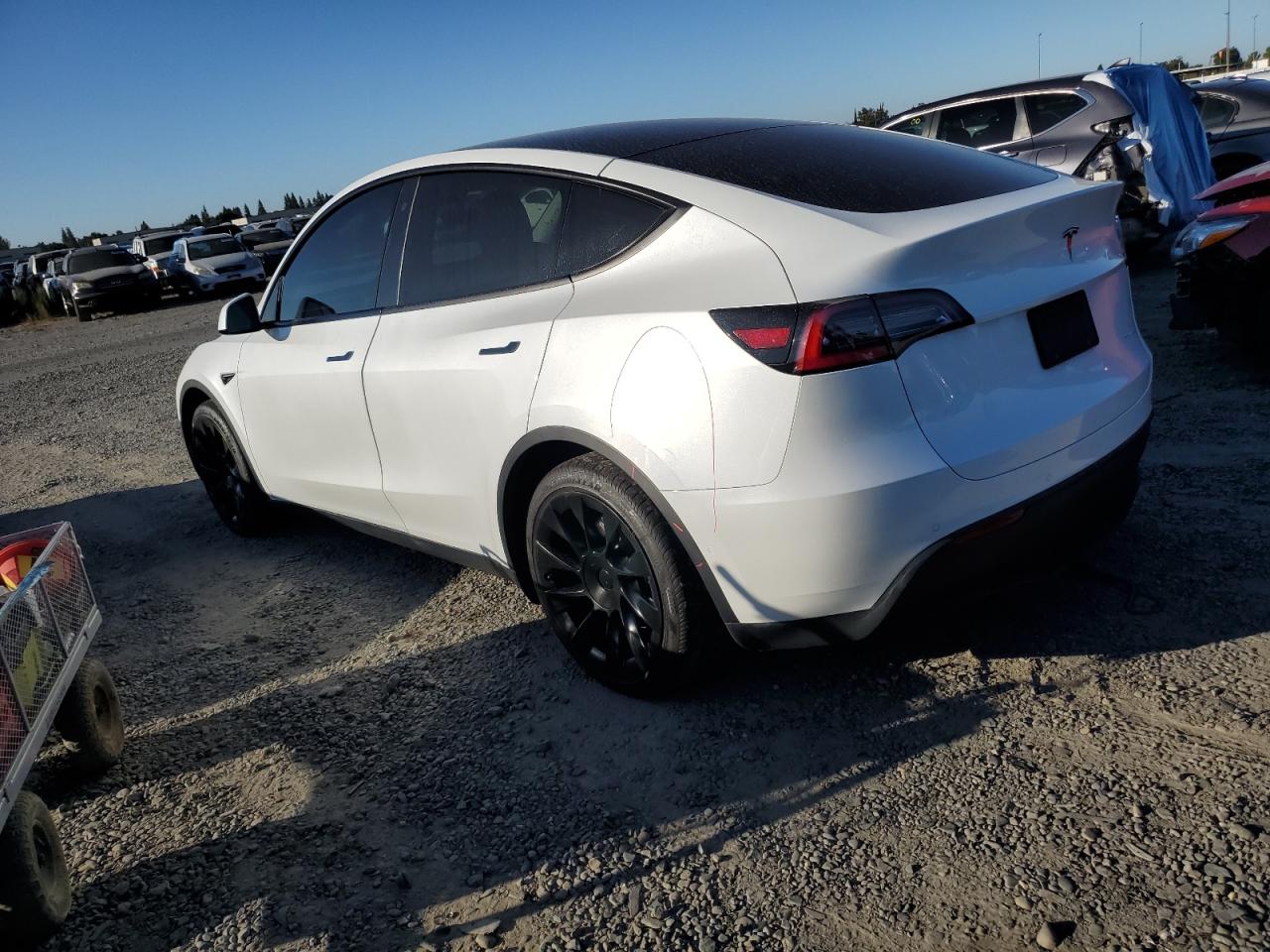 5YJYGDEE3LF056224 Tesla Model Y  2