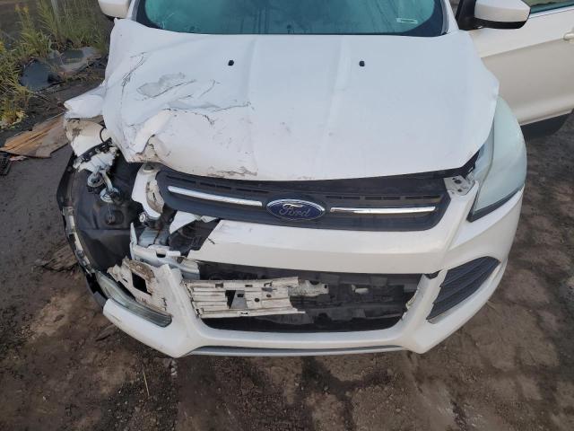 1FMCU0G94EUA61160 Ford ESCAPE SE