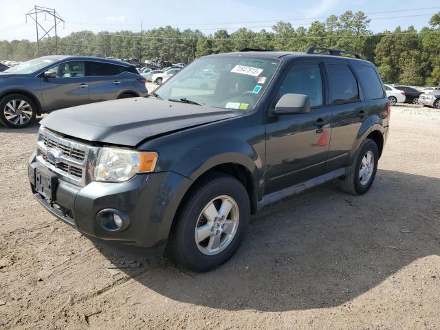 2009 Ford Escape XLT