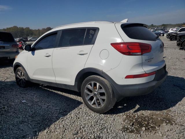 KNDPB3AC8E7605336 KIA Sportage Base