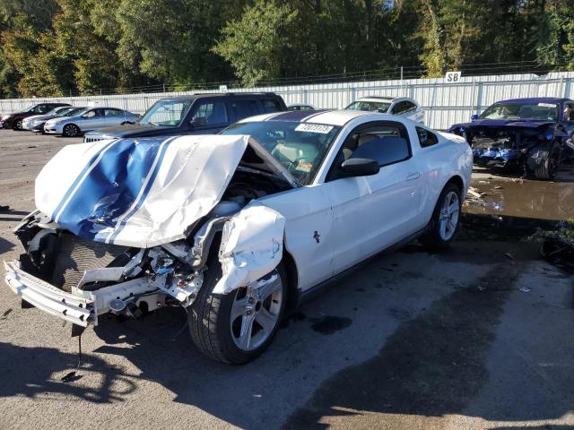 2010 Ford Mustang 