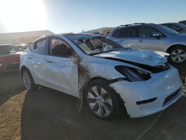 7SAYGDEE4PA040197 | 2023 TESLA MODEL Y