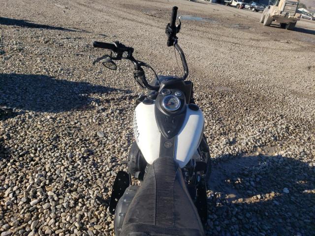 2019 INDIAN MOTORCYCLE CO. SPRINGFIEL - 56KTHDAA8K3369169