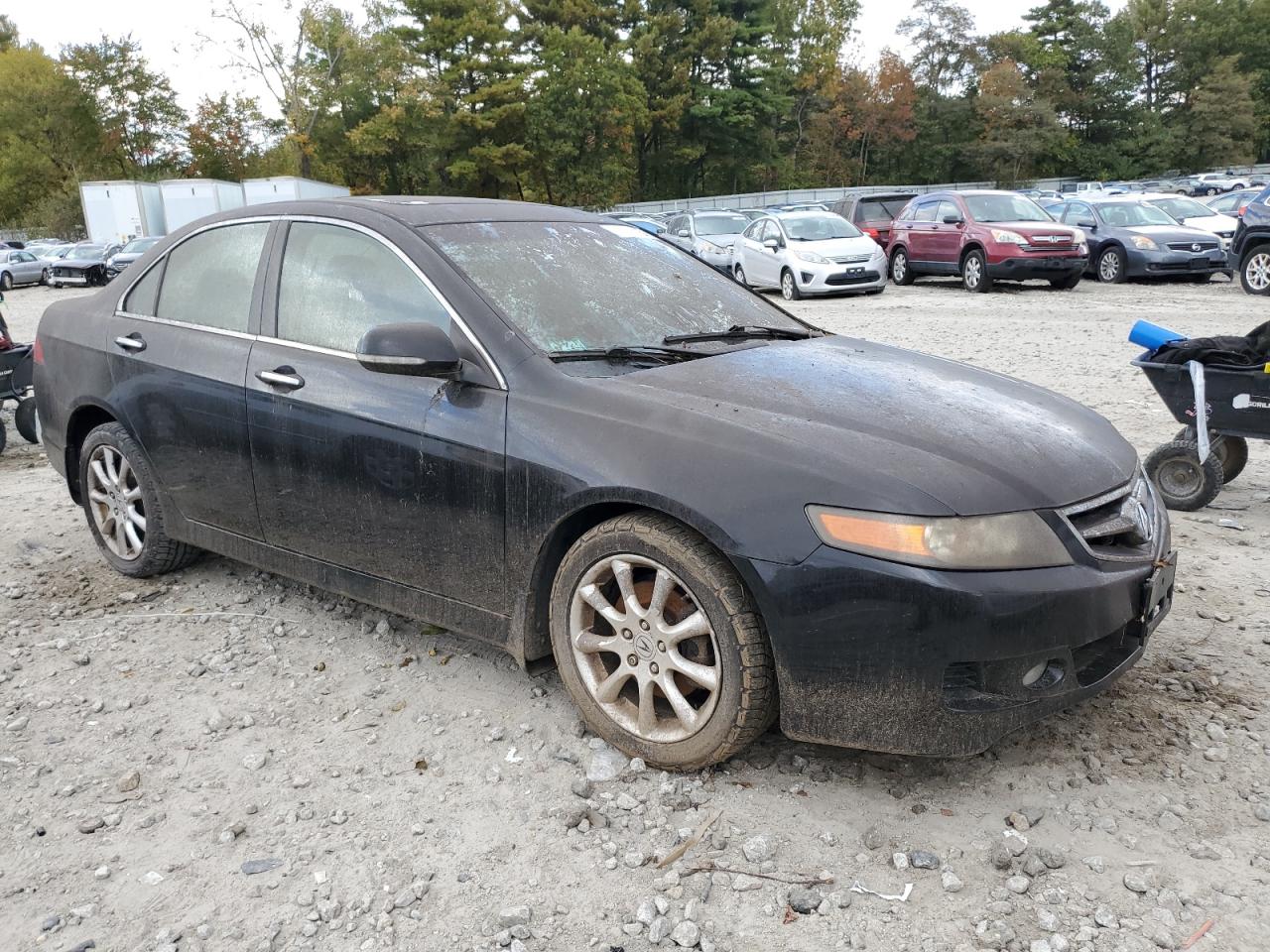 JH4CL96837C015475 2007 Acura Tsx