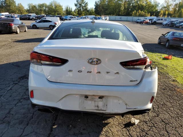 5NPE34AF8KH792587 | 2019 HYUNDAI SONATA LIM