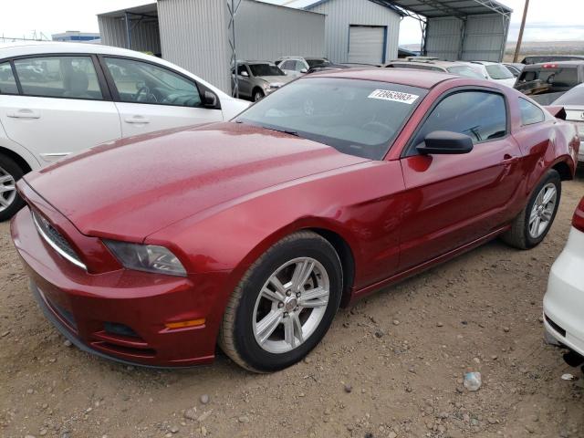 1ZVBP8AM2E5233812 2014 Ford Mustang