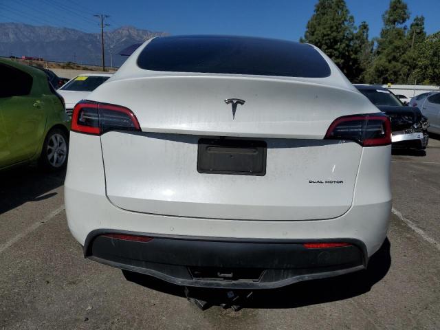 2021 TESLA MODEL Y - 5YJYGDEE9MF125161