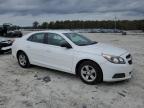 Lot #3033088000 2013 CHEVROLET MALIBU LS