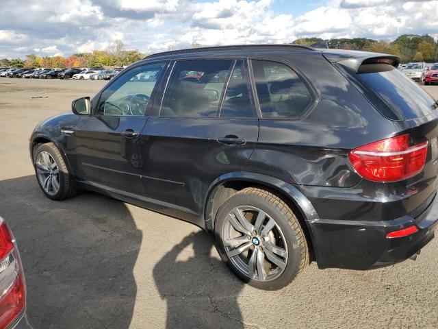 5YMGY0C51DLL15710 2013 BMW X5, photo no. 2