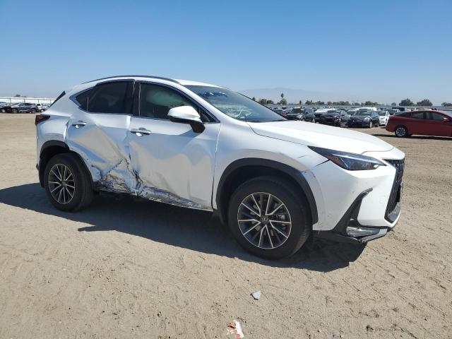 2024 LEXUS NX 250 BAS JTJADCAZ6R5013811