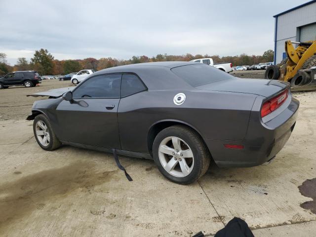 DODGE CHALLENGER 2013 Сірий